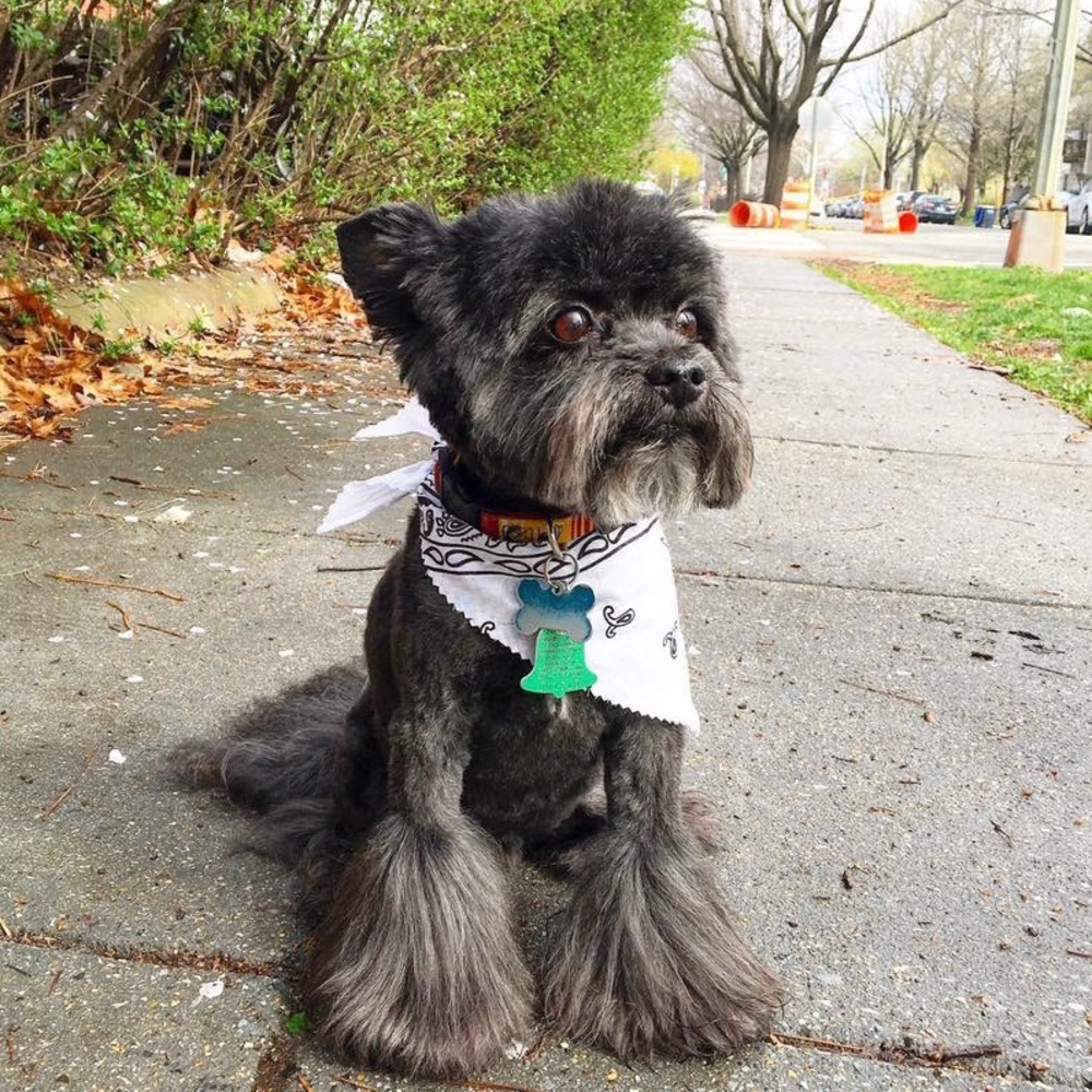 Meet your Posher, Martece